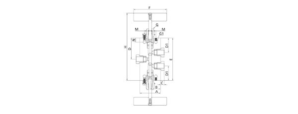 20N Series (3-Way/2 Stem Manifold)