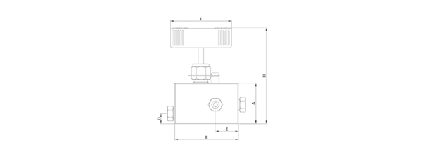 20/30 Guage Valves
