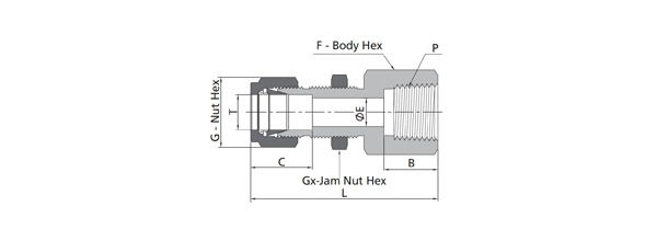 Bulkhead Female Connector Fitting | Fractional Tube X NPT Thread
