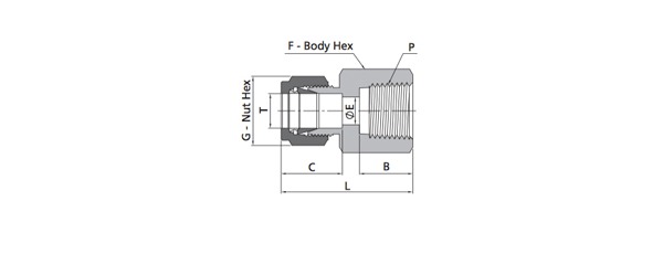 Female Connector Fitting | Metric Tube X NPT Thread