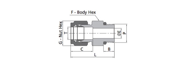 Male Connector Fitting | Fractional Tube X SAE/MS Straight Thread