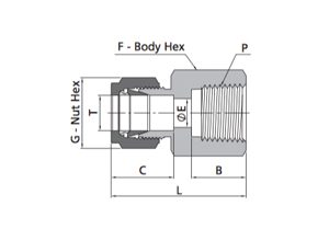 Female Connector Fitting | Metric Tube X NPT Thread