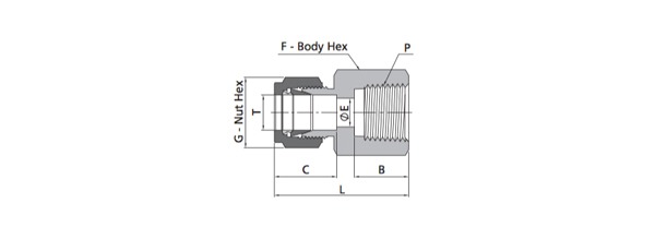 Female Connector Fitting | Metric Tube X NPT Thread