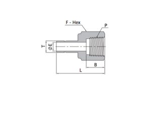 Female Adapters | Metric Tube X NPT Thread