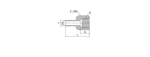 Female Adapters | Metric Tube X NPT Thread