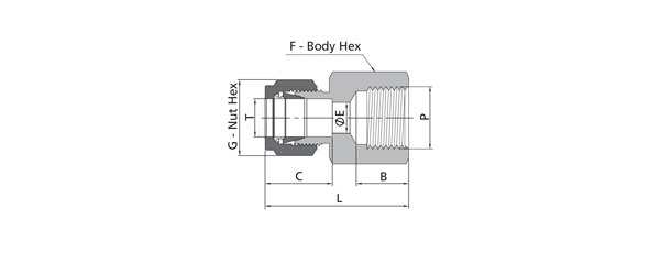 Female Connector Fitting | Metric Tube X ISO Tapered Thread (RP)