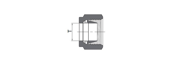 Nut and Ferrule | Fractional Tube
