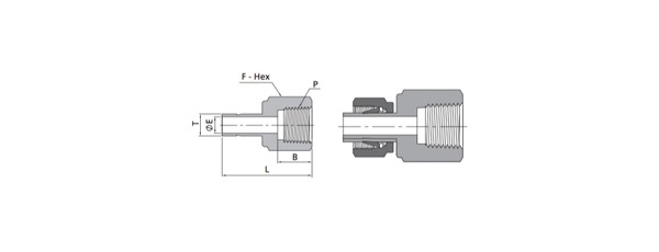 Female Adapters | Fractional Tube X NPT Thread