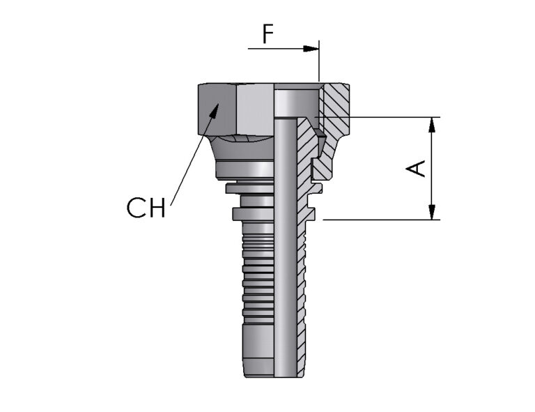 BSP FEMALE, 60° CONE