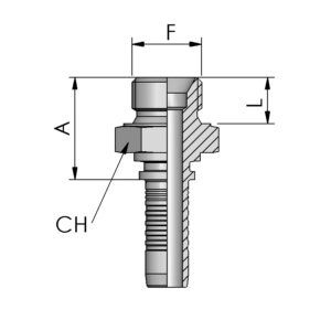 BSPP Male, 60° Cone