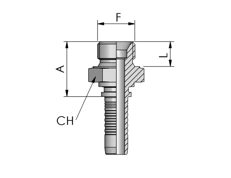 BSPT MALE, 60° CONE