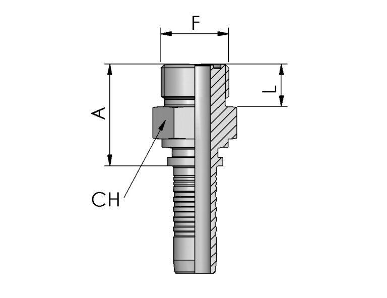 ORFS MALE